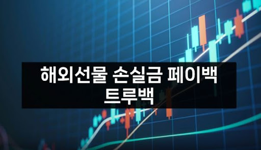 해외선물미니업체 트루백의 안전한 해외 자산 운용 전문가들과 함께